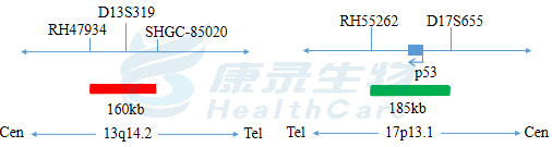 中国·拉斯维加斯(3499·官方认证)网站-Officialwebsite